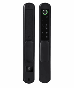 LM-P6510F_product_01