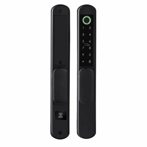 LM-P6510F_product_01